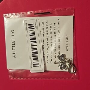 Pocket Hug Dragonfly little clip with a saying card. NWT
